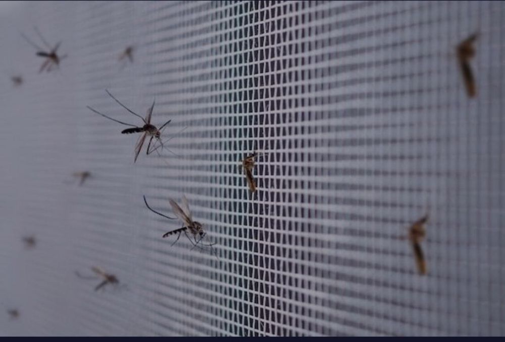 Москитная сетка, Жалюзи всех видов!
Moskitnaya setka, Jalyuzi! 24/7