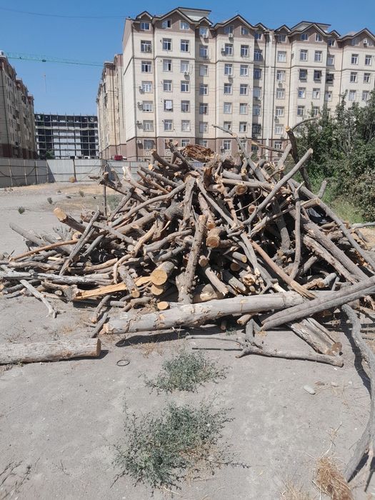 Дрова Фруктовых деревьев