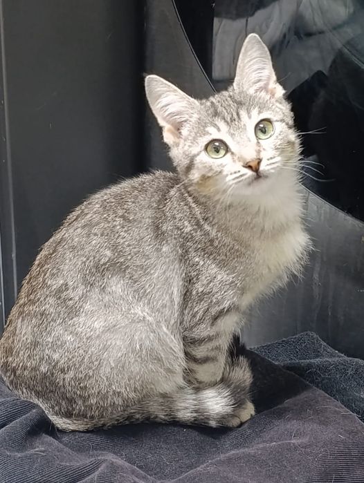 Манюня ищет семью.