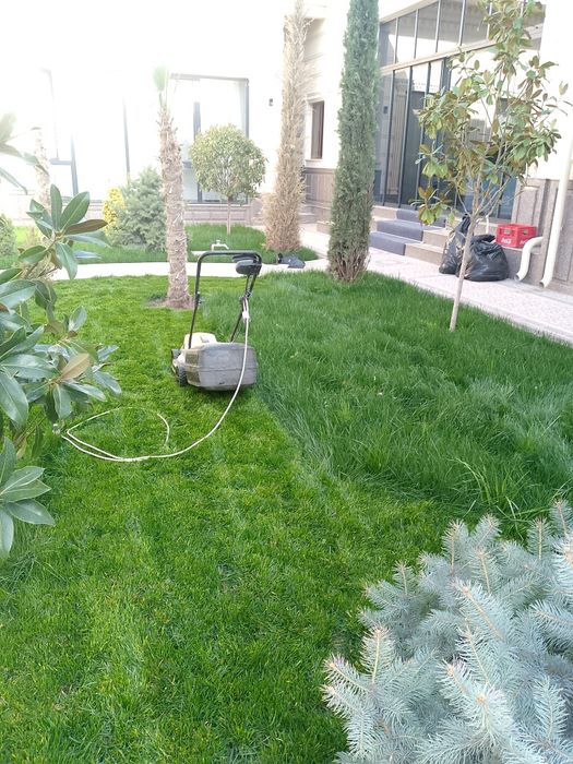 Rulon gazon yotqizish landshaft dizayni