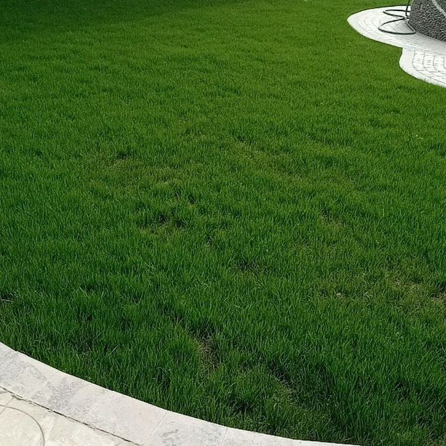 Газон ва гуллар хизмати