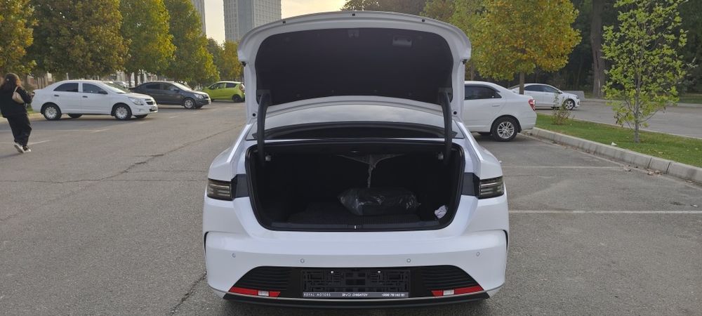 BYD Chazor flagship 120 full Позиция.