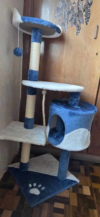 Средно голямо котешко дърво