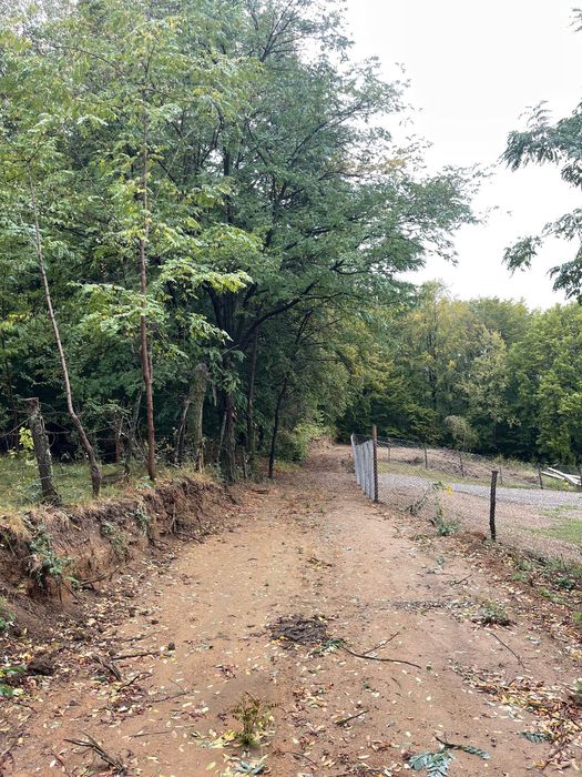 Ocazie Investitie! Teren intravilan in pădure-Poiana Lazului-Breaza PH