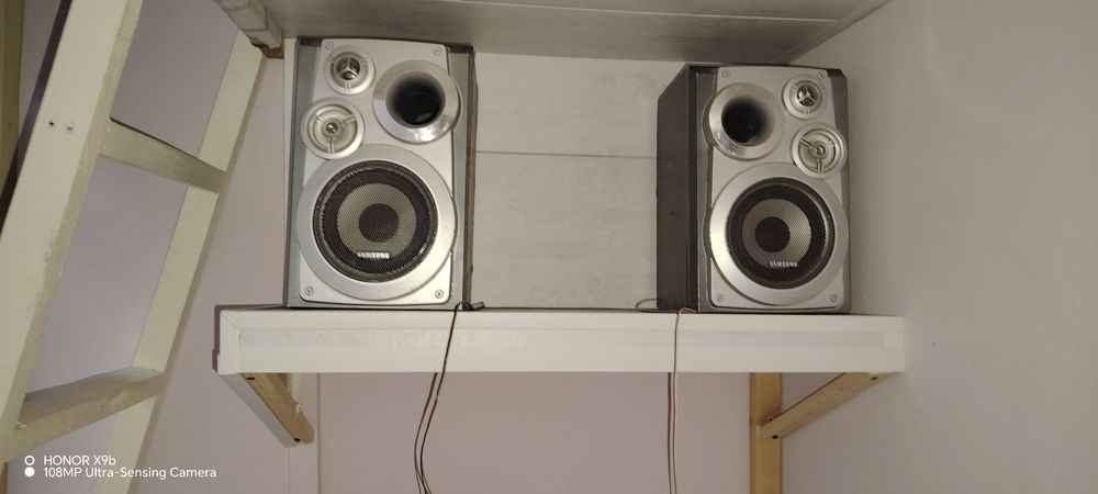 kalonka arginal bass