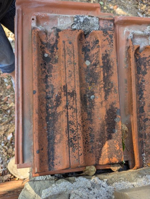 Два вида керемиди