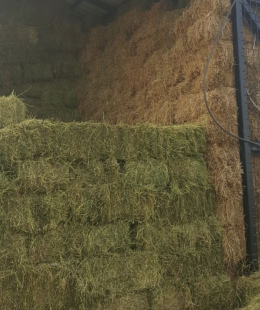 Vand baloti de lucerna si fân