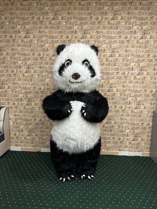 Ayiqchalar | animator | мишки | тедди