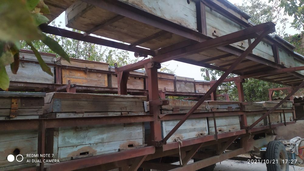 Асалари вагон+асалар ящик+ асалари оиласи