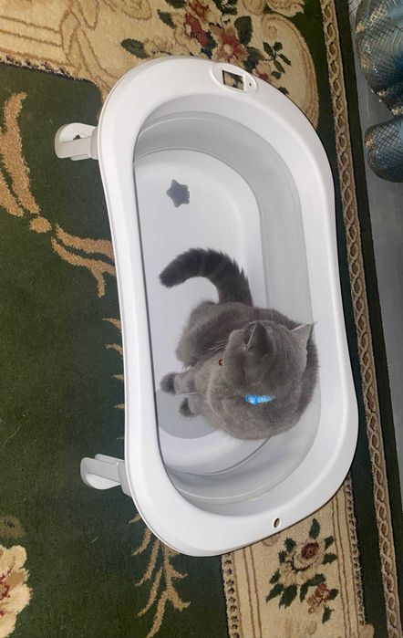 Chaqaloq cho'miltirish uchun yig'iladigan tog'ora