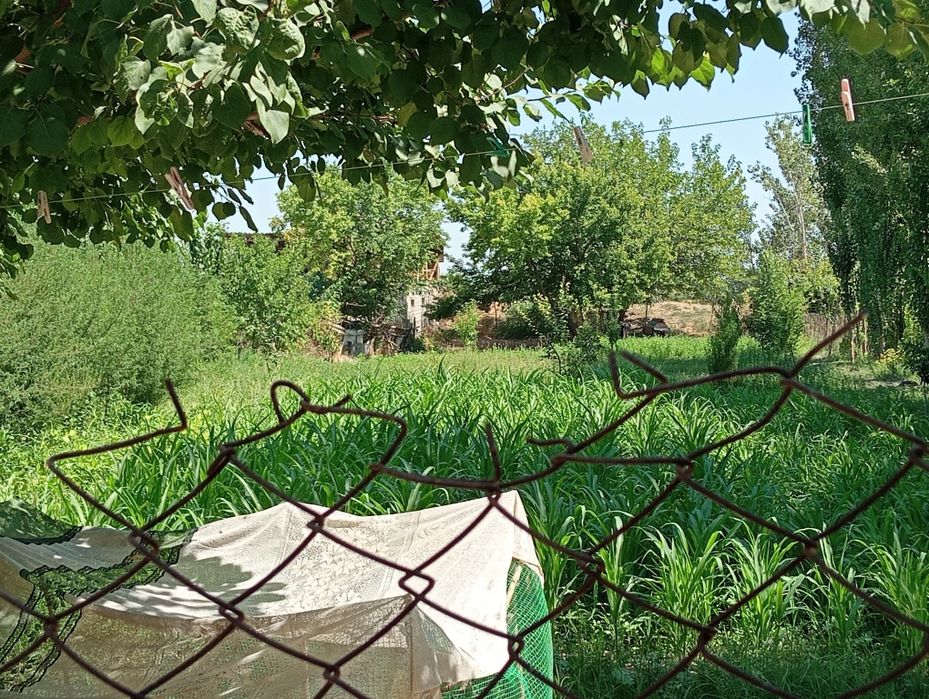 20 sotix uchastka