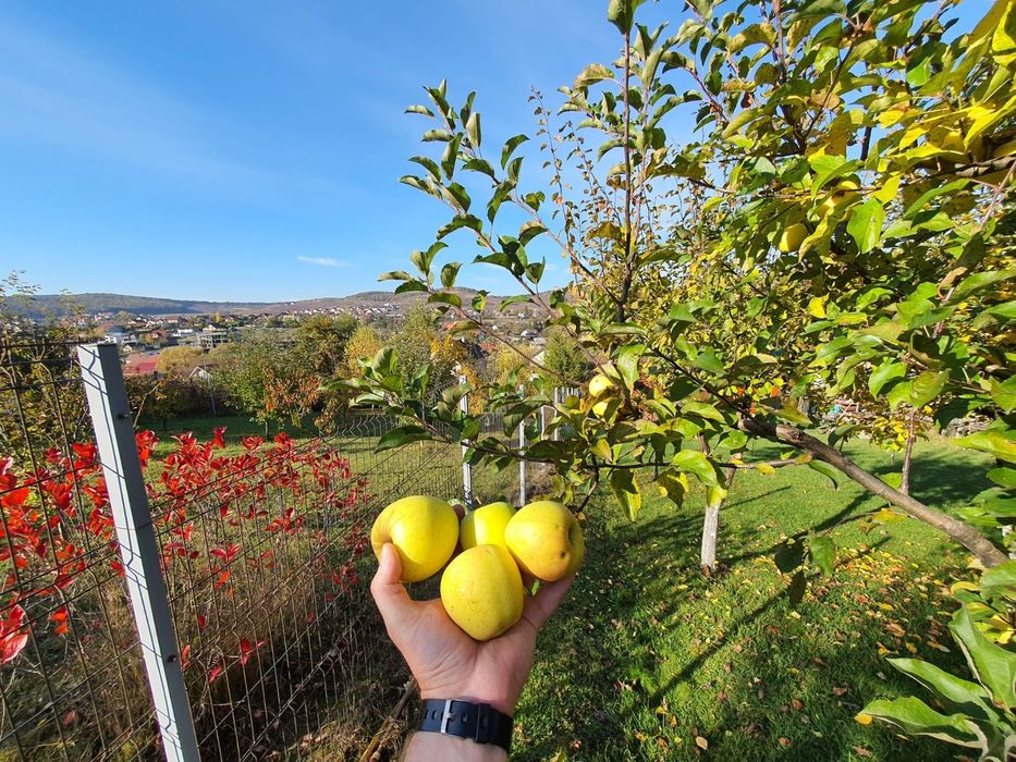 85.800 €, Teren în LIVEZENI, 780 MP, str Pădurii, 110  €/MP