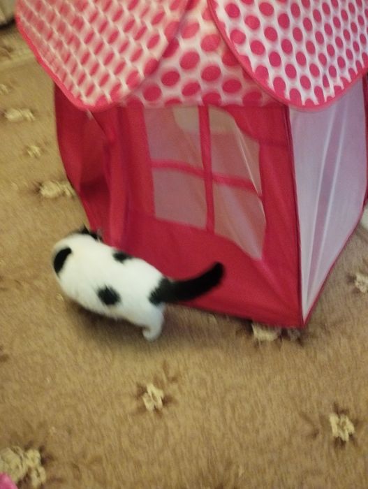 Детский шатёр палатка даром