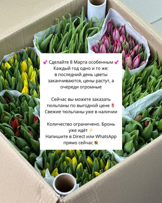 Тюльпаны предзаказы на 8 марта ‼️