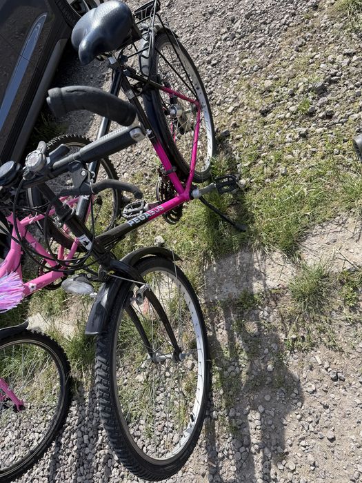 Bicicleta  adulti
