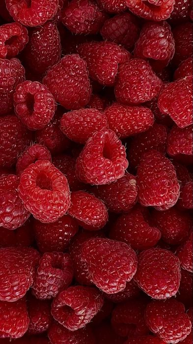 Продам домашнюю Малину