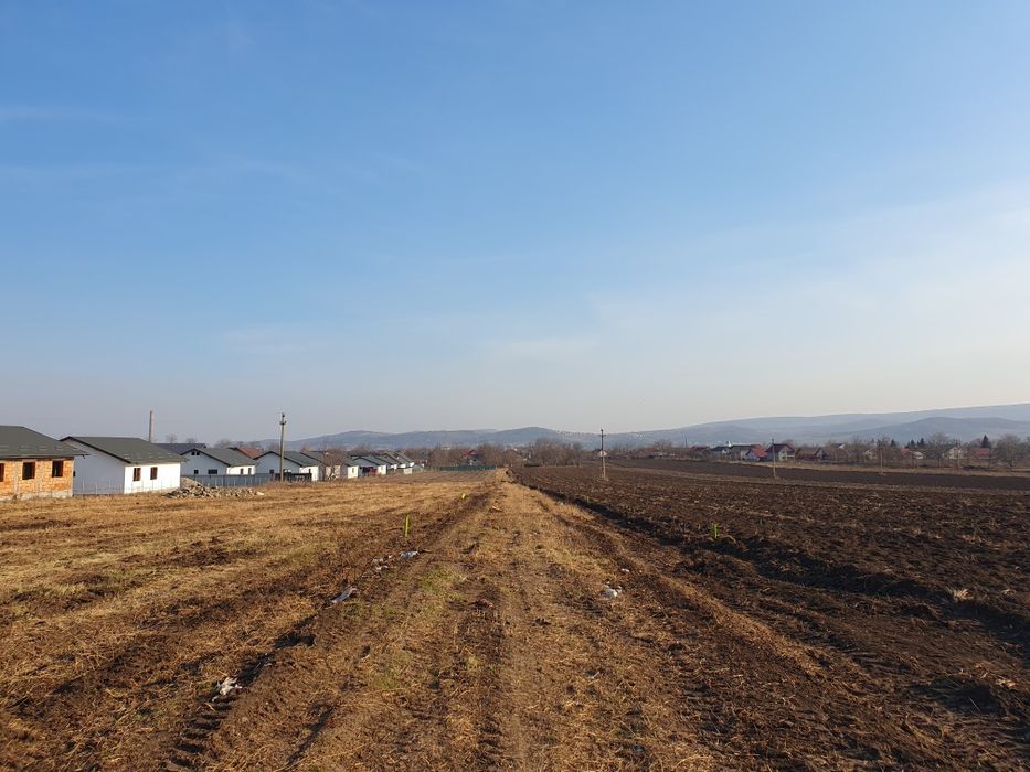 Teren intravilan Holboca 1624mp