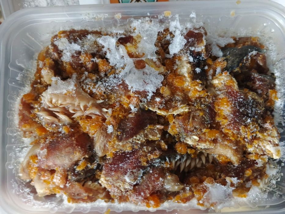 Сбалансированное питание для ваших питомцев.