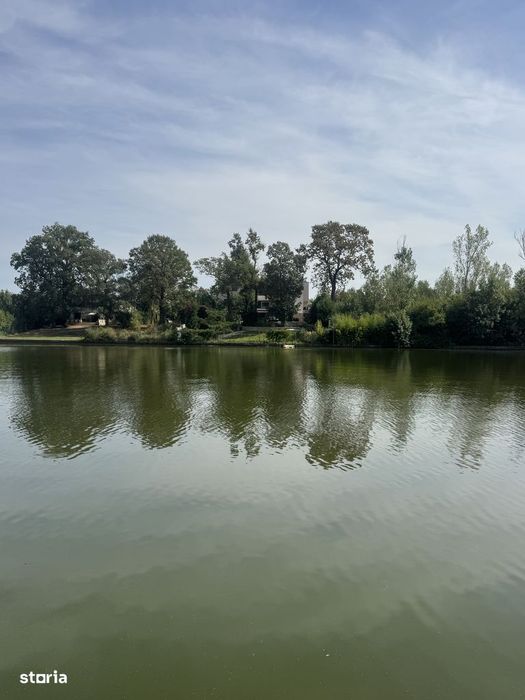 Teren Mogosoaia Lac