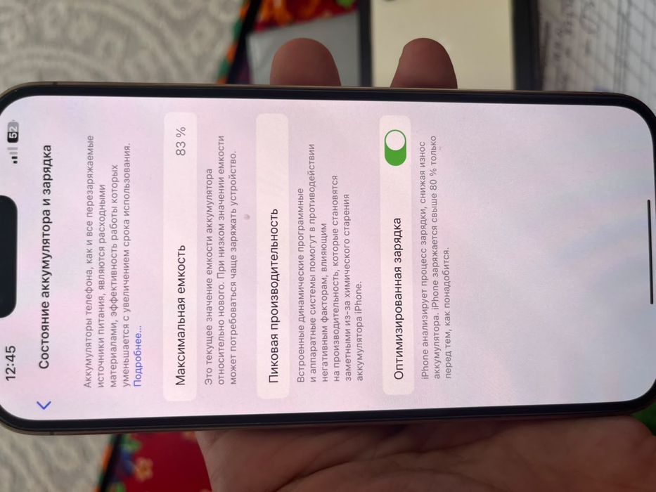 Phone 13 pro max