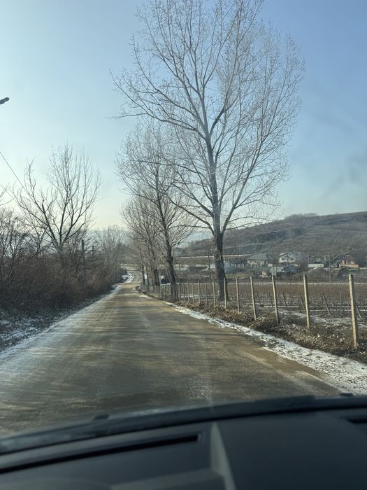 Teren de vanzare URLATI