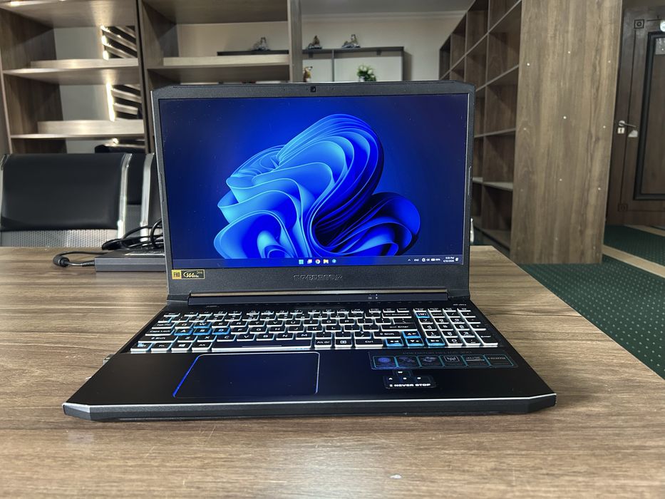 Acer Predator Helios 300