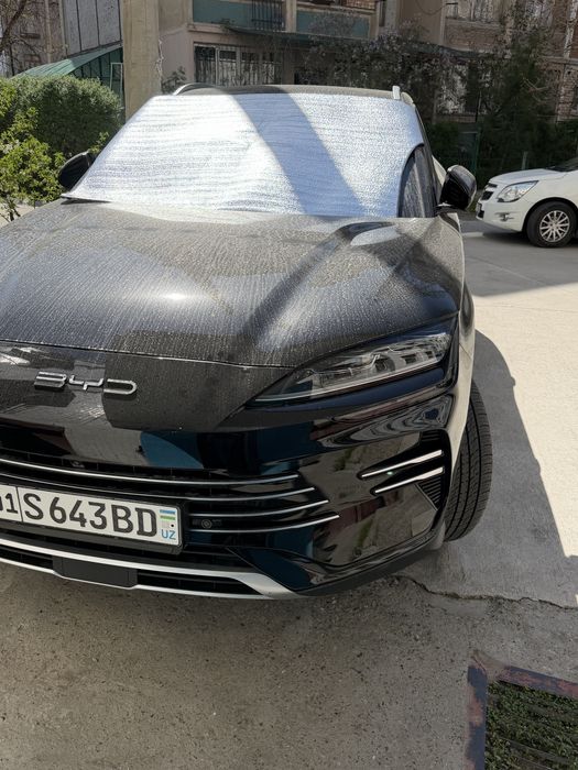 Byd chempion gibrid 150