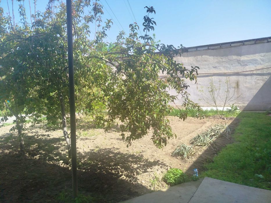 Toshkent shahri Samarqand darvozada 2-4 sotix yer maydoni