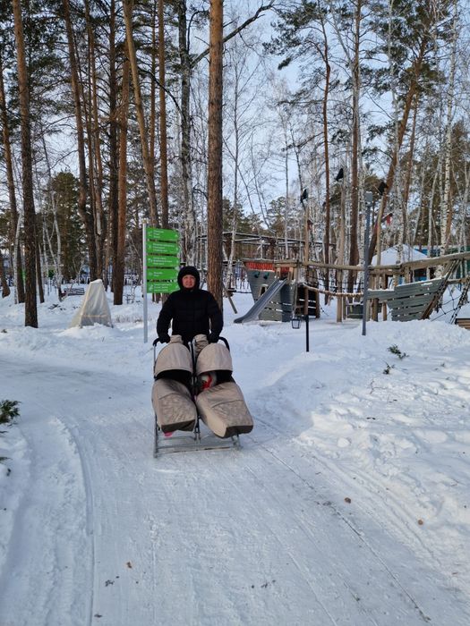Санки для двойняшек
