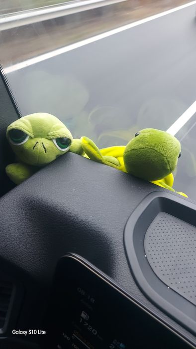 Medion  Jucărie pluș în stare perfectă