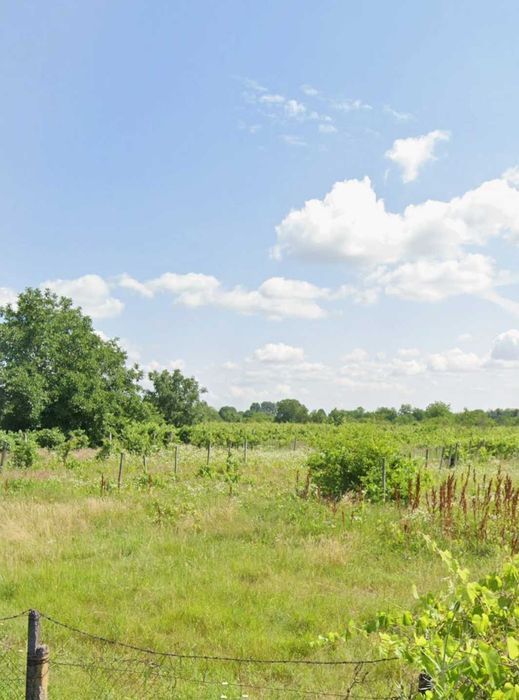 Teren intravilan construibil 1700 mp Ograzile ( Merei)