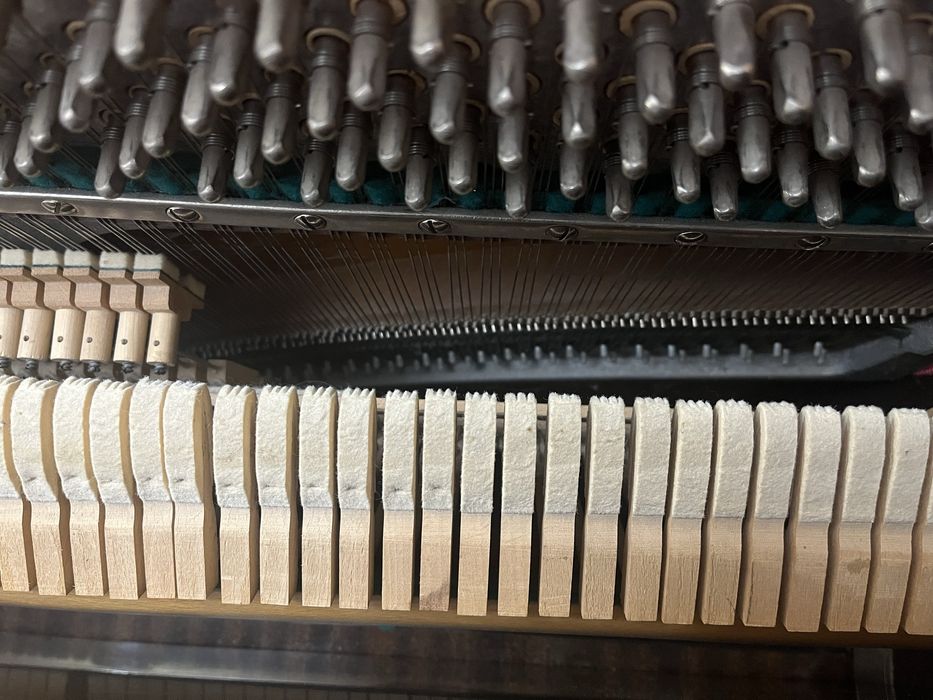 Фортепиано Беларусь