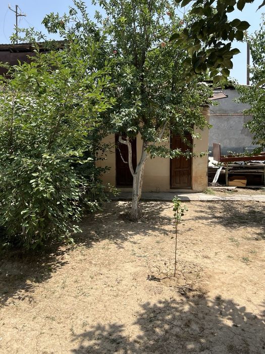 Участка 5.9 соток