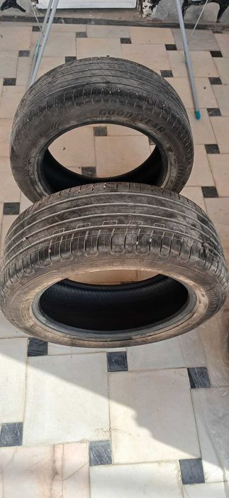 Автошина (Tracker)