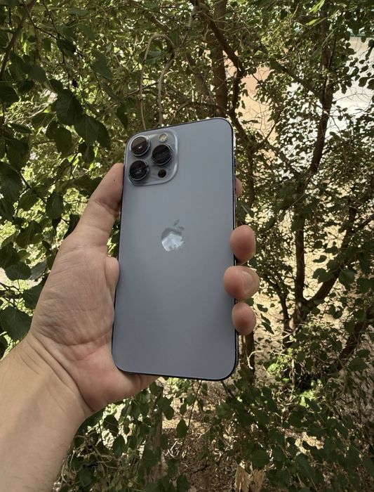 iPhone 13 pro max 256g