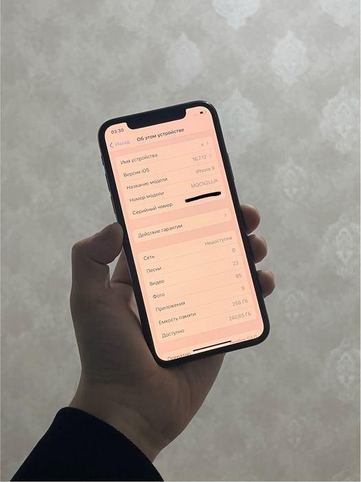 iphone x 256gb кчу