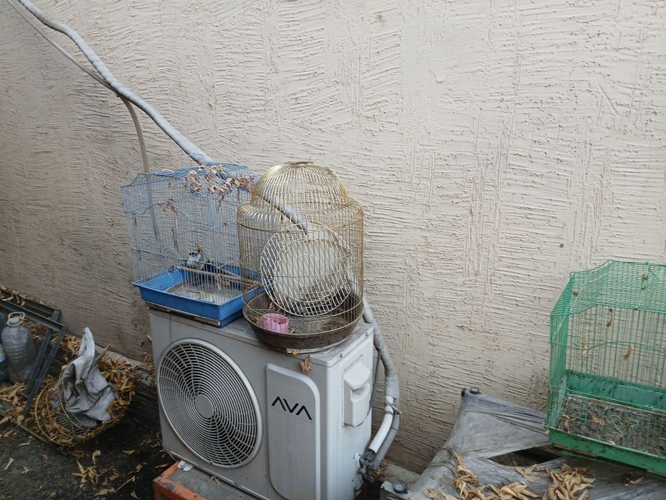 Продам для аквариума