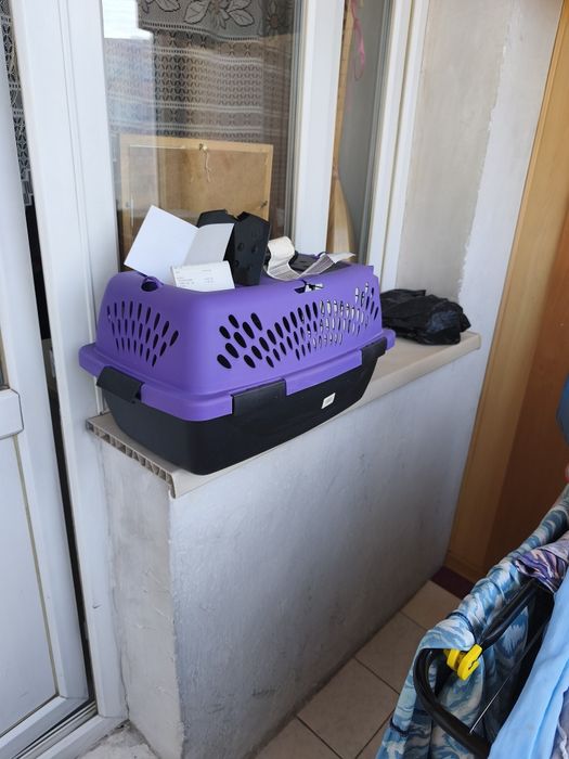 Бокс, авиа, переноска.