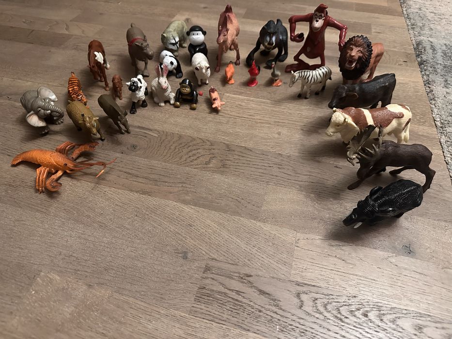 Set animale pentru copii
