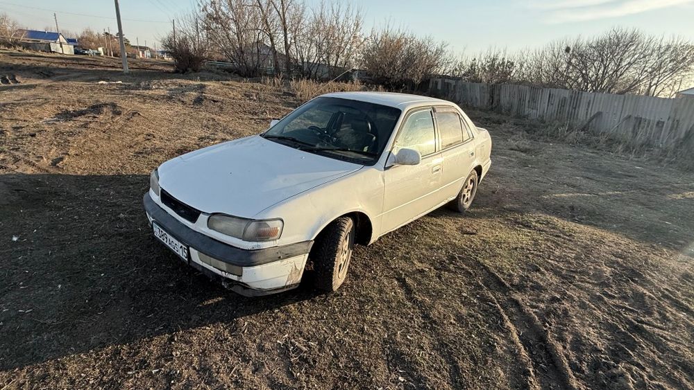 Продам toyota corolla
