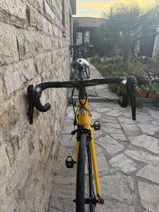 Bianchi Team Rynkeby Carbon 105 48cm