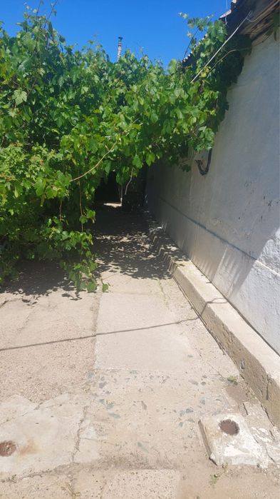 Продам дом поселок Бурлин