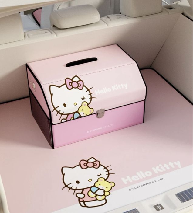 Органайзер для машины