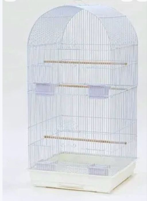 Продаются попугайчики