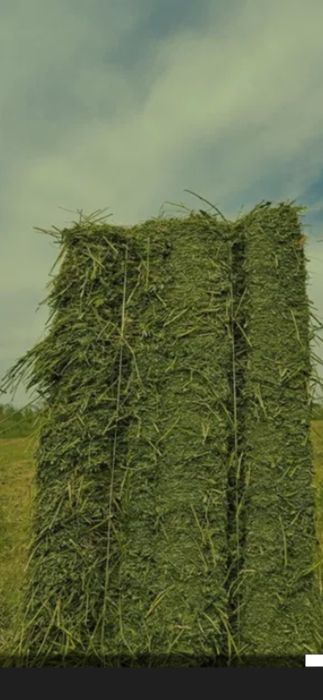 Беда прес сотилади