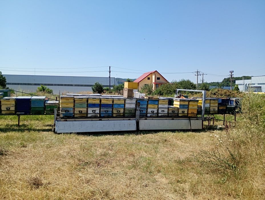 Vând remorca 3500kg