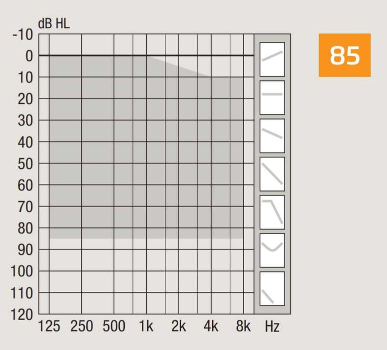 Quloq aparat Eshitish moslamasi Слуховые аппараты Oticon Jet 2 CIC
