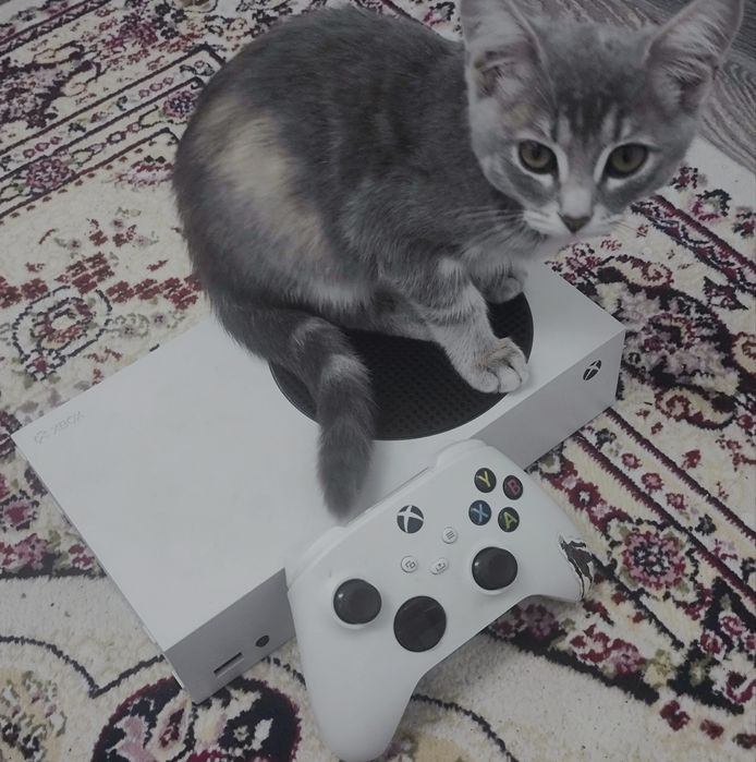 Xbox series s 500gb