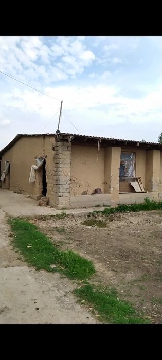 Ferma sotiladi hamma sharoiti bor tayyor biznes