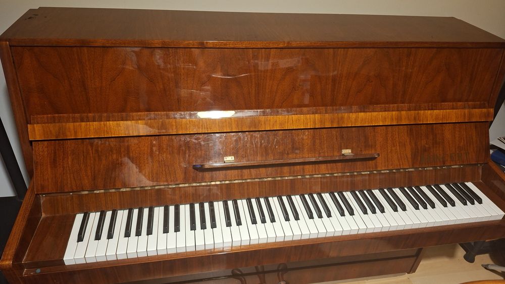 Pianina Doina Koncert